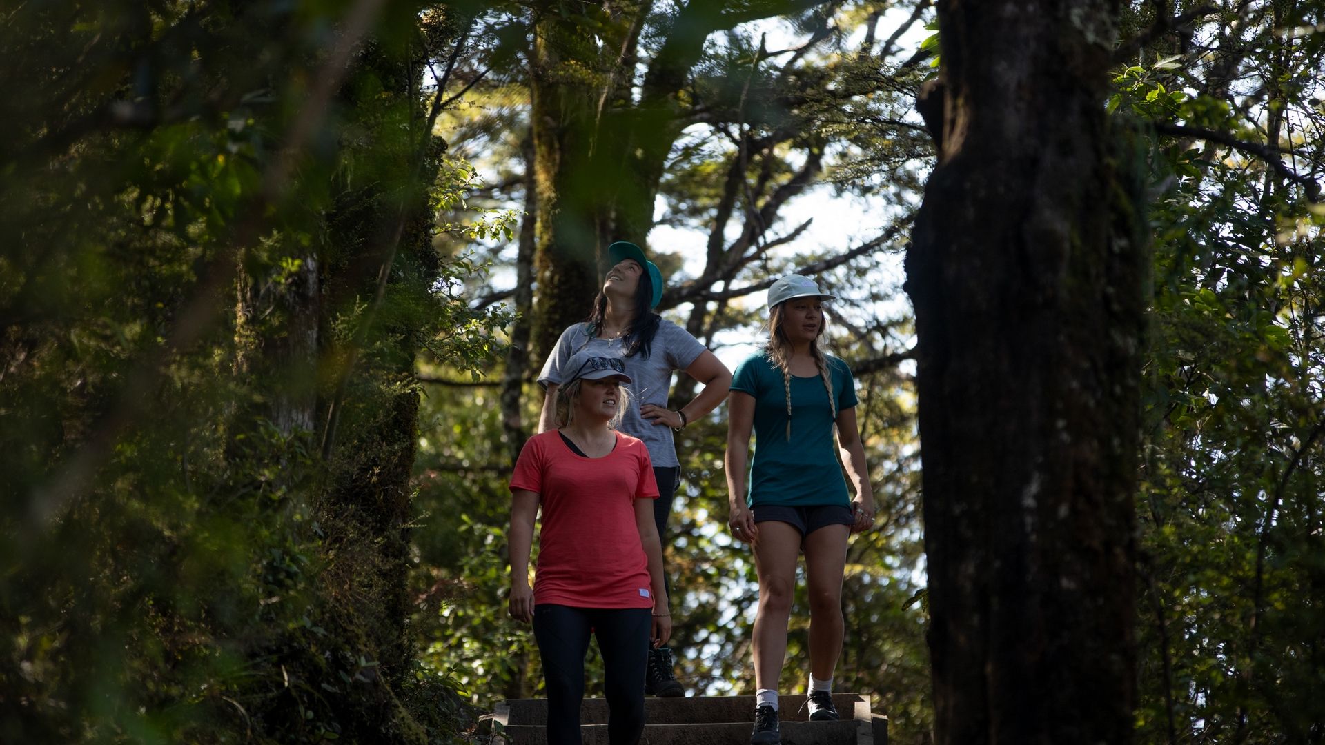 Friends walking in the bush in the Tongariro National Park to Tawhai Falls - Visit Ruapehu.jpg